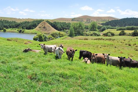 Photo of property in 66 Manu Drive, Kaiwaka, 0573