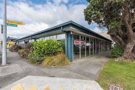 Photo of property in 22 Raroa Road, Kelburn, Wellington, 6012