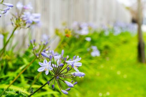 Photo of property in 6 Rata Lane, Maungaturoto, 0520