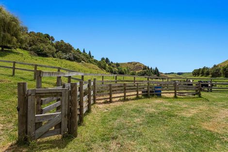 Photo of property in 47a Awanuiarangi Road, Pikowai, Whakatane, 3194