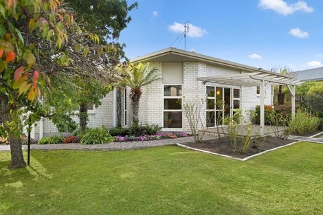 Photo of property in 53 Splitt Avenue, Glenview, Hamilton, 3206