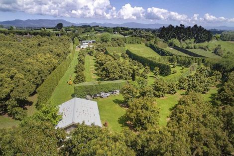 Photo of property in 313 Youngson Road, Whakamarama, Tauranga, 3179