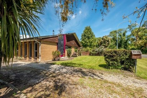 Photo of property in 8 Achray Street, Waiau, 7332