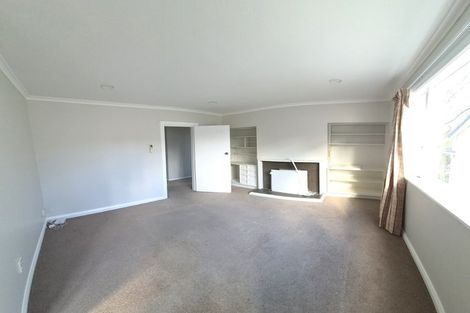 Photo of property in 115 Mein Street, Newtown, Wellington, 6021