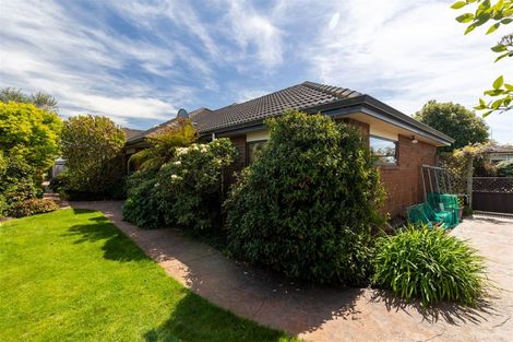 Photo of property in 20 Panckhurst Drive, Woodend, 7610