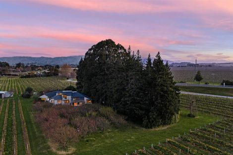 Photo of property in 16 Newman Road, Rapaura, Blenheim, 7273