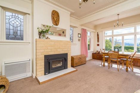 Photo of property in 119 Eglinton Road, Mornington, Dunedin, 9011