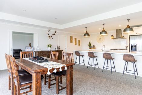 Photo of property in 46 Thompson Road, Temuka, 7920