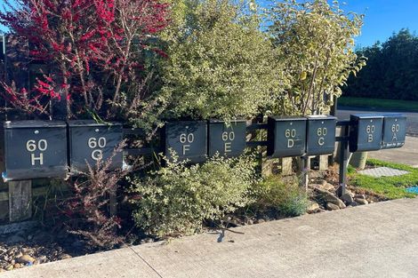 Photo of property in 60 Jellicoe Avenue, Tuakau, 2121