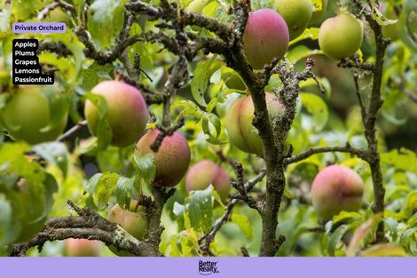 Photo of property in 10 Richmal Street, Waihi, 3610