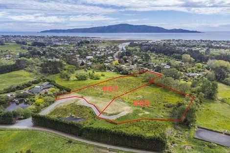 Photo of property in 69 Tieko Street, Otaihanga, Paraparaumu, 5036
