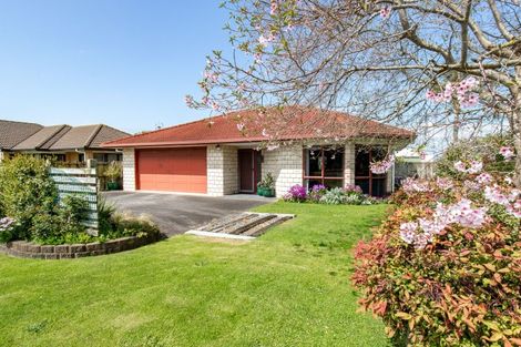 Photo of property in 8 Harris Place, Ngatea, 3503