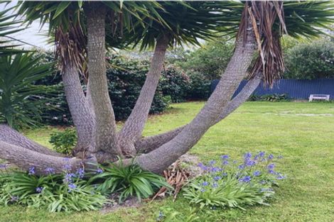 Photo of property in 81a Venice Street, Martinborough, 5711