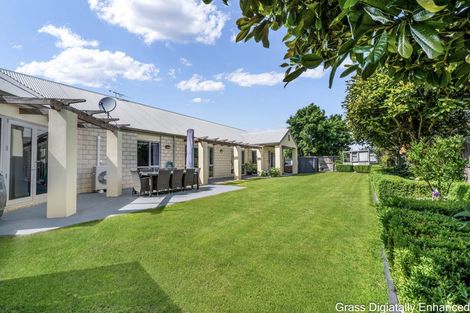 Photo of property in 6 Thornley Place, Woodend, 7610