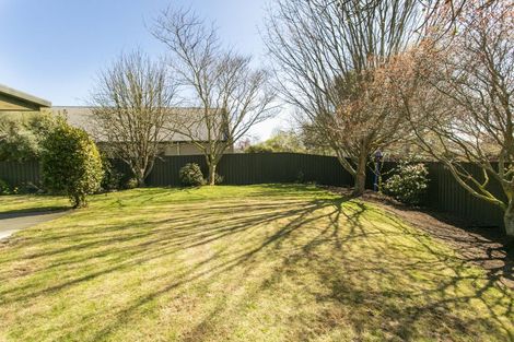 Photo of property in 11 Trellech Place, Allenton, Ashburton, 7700
