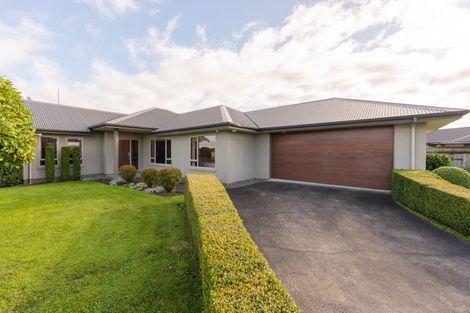 Photo of property in 21 Pukawa Place, Feilding, 4702