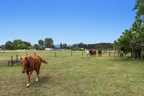 Photo of property in 323b Hallett Road, Otakiri, Whakatane, 3192