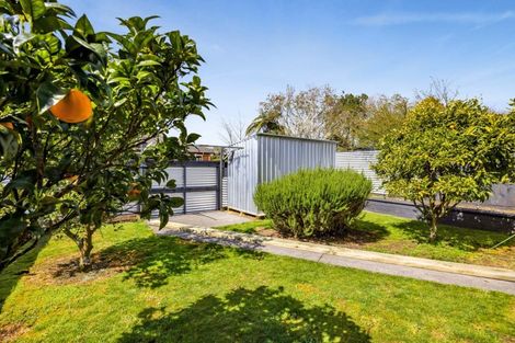 Photo of property in 31b Miro Street, Inglewood, 4330