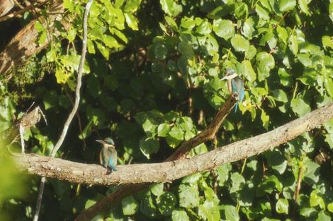 Photo of property in 629e Tara Road, Mangawhai, Kaiwaka, 0573