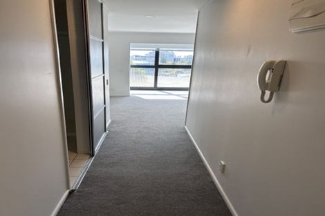 Photo of property in Luna Apartments, 4d/16 Burton Street, Grafton, Auckland, 1010
