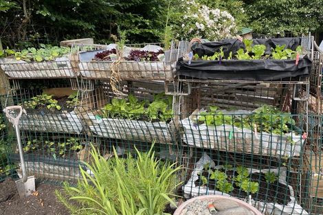 Photo of property in 93a Kuratawhiti Street, Greytown, 5794