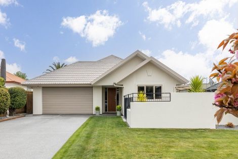 Photo of property in 43 Palmbrook Avenue, Havelock North, 4130