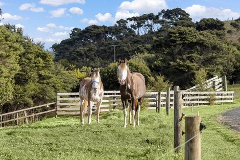 Photo of property in 1088 South Head Road, South Head, Helensville, 0874