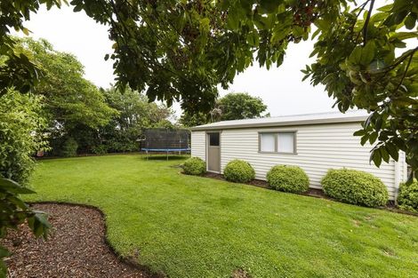 Photo of property in 67 Keeling Street, West End, Palmerston North, 4412