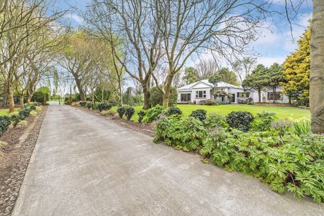 Photo of property in 53 Prossers Road, Leeston, 7682