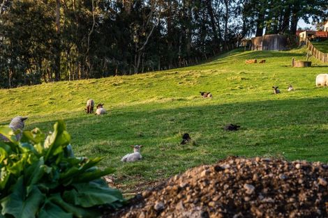 Photo of property in 35 Shady Lane, Welcome Bay, Tauranga, 3175