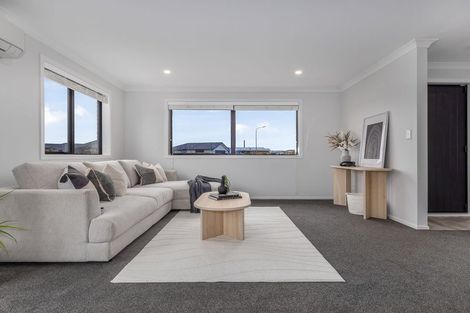 Photo of property in 79 Hinemoa Street, Levin, 5510