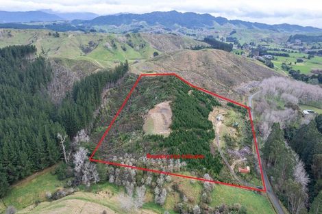 Photo of property in 133 South Road, Solway, Masterton, 5810