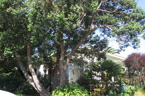 Photo of property in 24 Bracken Street, Petone, Lower Hutt, 5012