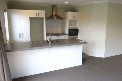 Photo of property in 17 Burford Way, Rolleston, 7615