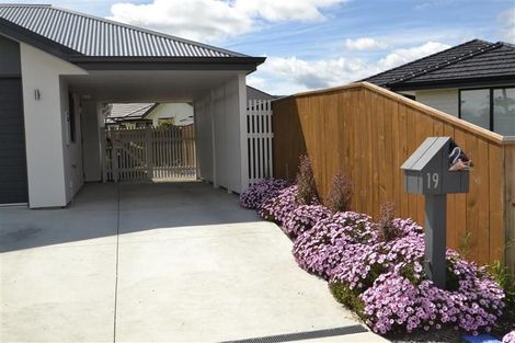 Photo of property in 19 Malone Crescent, Richmond, 7020