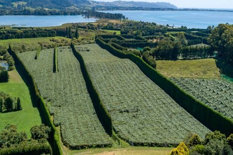 Photo of property in 215 Ongare Point Road, Tahawai, 3170