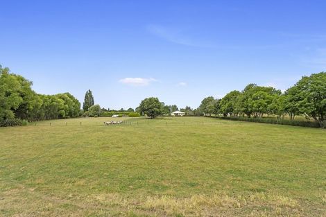 Photo of property in 386 Island Road, Flaxton, Kaiapoi, 7691