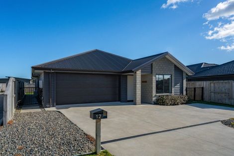 Photo of property in 12 Tawhai Crescent, Wharewaka, Taupo, 3330