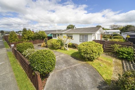 Photo of property in 135 Salisbury Street, Ashhurst, 4810