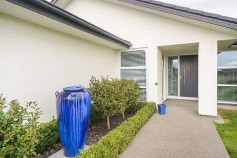 Photo of property in 19 George Street, Bulls, 4818