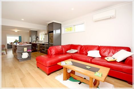Photo of property in 115 Queen Street West, Levin, 5510