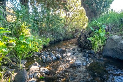 Photo of property in 102 Puriri Valley Road, Puriri, Thames, 3578