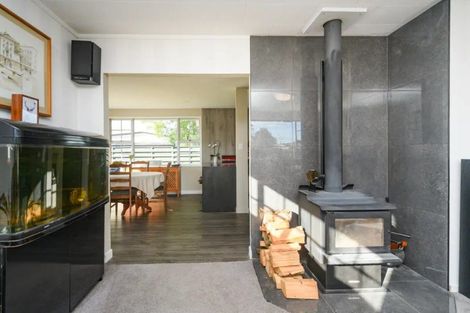 Photo of property in 17 Anaru Place, Awapuni, Palmerston North, 4412