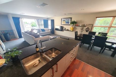 Photo of property in 3 Elderwood Lane, Edgeware, Christchurch, 8013