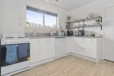 Photo of property in 58a Aurora Terrace, Hillcrest, Hamilton, 3216