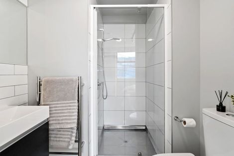 Photo of property in Detroit Apartments, 213/181 Tasman Street, Mount Cook, Wellington, 6021