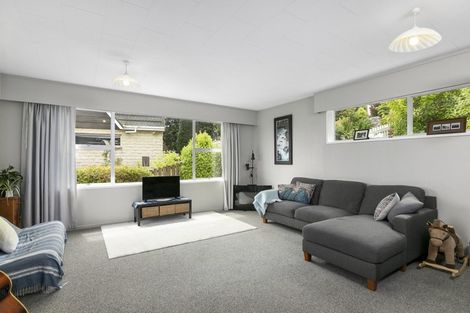 Photo of property in 33 Elliffe Place, Shiel Hill, Dunedin, 9013