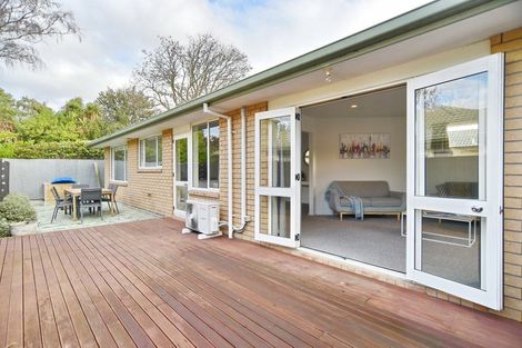 Photo of property in 3/11 Grove Road, Addington, Christchurch, 8024