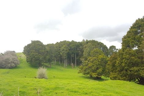 Photo of property in 504b Wairere Road, Maungaturoto, 0571