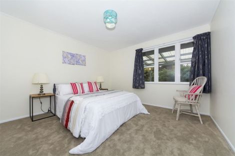 Photo of property in 56 Ellis Avenue, Mount Roskill, Auckland, 1041